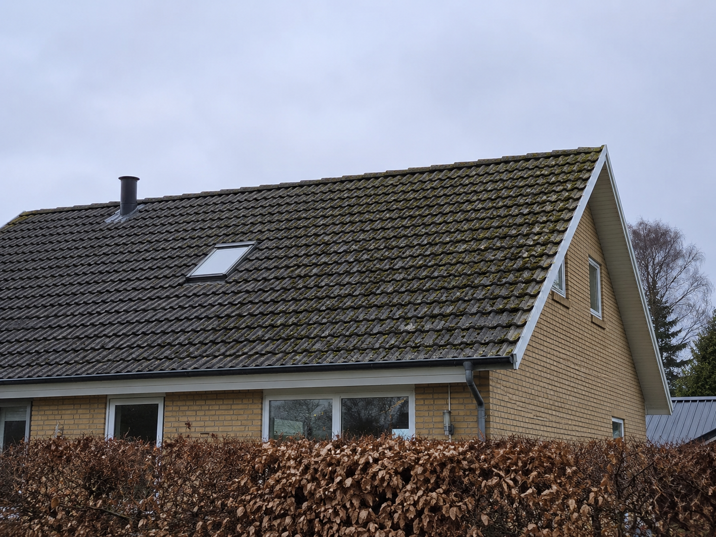 Før fliserens